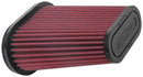 AEM DryFlow Air Filter