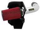 AEM Brute Force Intake System