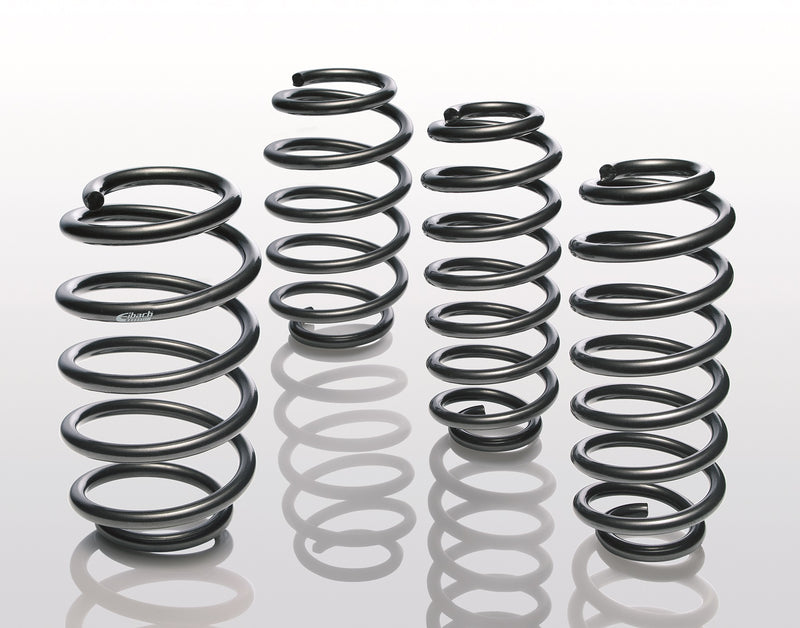 Suspension Kit, coil springs, Pro-Kit (E10-87-001-08-22)