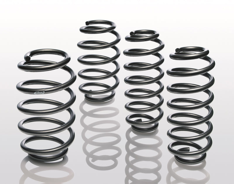 Suspension Kit, coil springs, Pro-Kit (E3013-240)